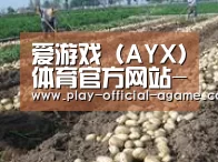 种植基地七(图1)