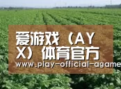 种植基地五(图1)