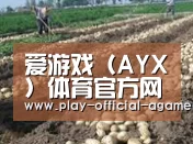 种植基地八