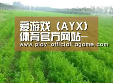 种植基地四