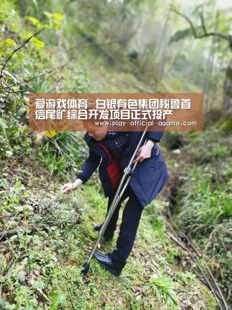  爱游戏官网