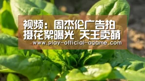 爱游戏体育