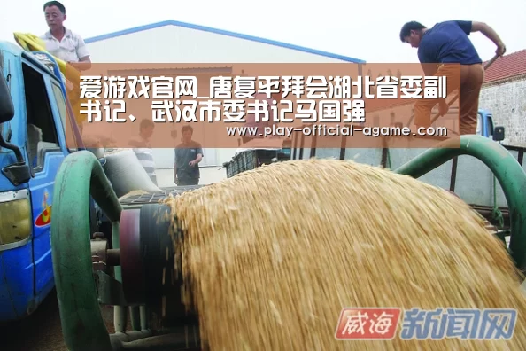 爱游戏官网_唐复平拜会湖北省委副书记、武汉市委书记马国强(图1) 爱游戏官网