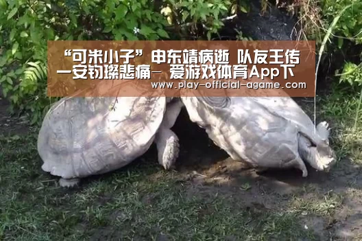 爱游戏体育