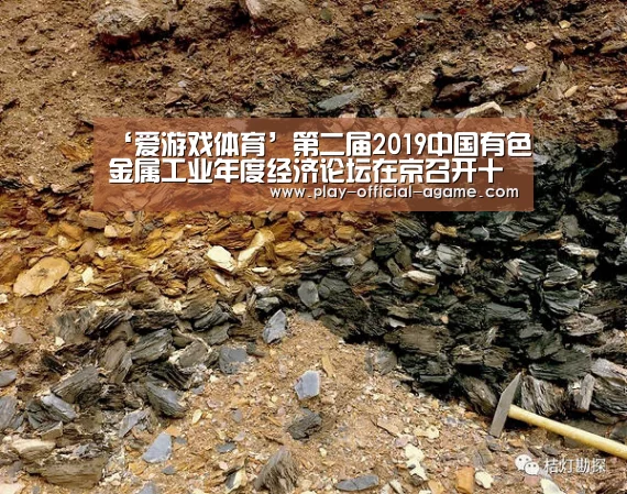  爱游戏体育App下载