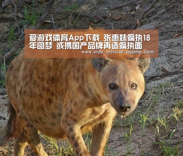 爱游戏体育App下载_张惠妹偏执18年圆梦 或携国产品牌再造偏执面(图2) 爱游戏体育App下载