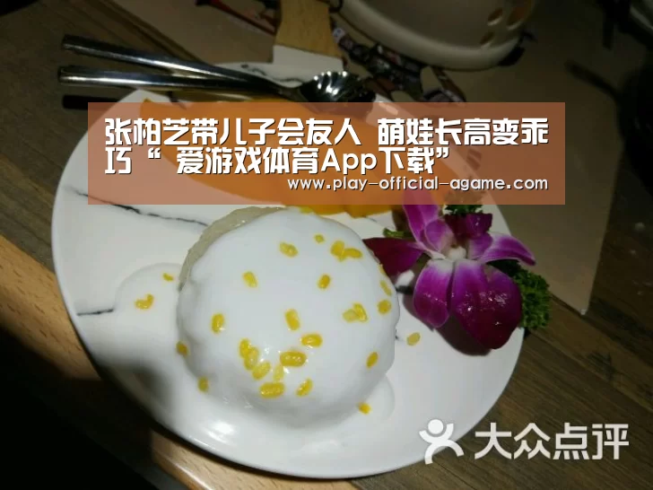 张柏芝带儿子会友人 萌娃长高变乖巧“ 爱游戏体育App下载”(图1) 爱游戏体育