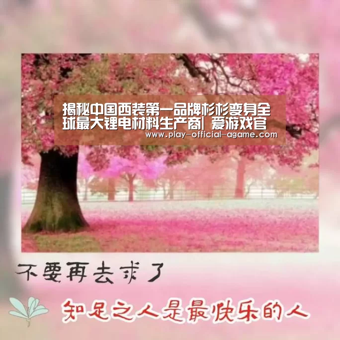 爱游戏体育App下载