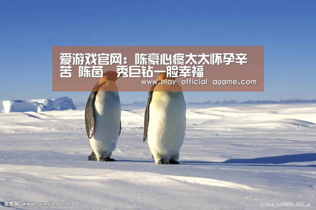  爱游戏体育App下载