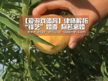  爱游戏体育App下载