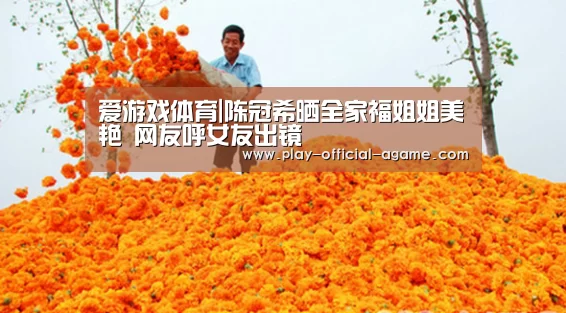 爱游戏体育|陈冠希晒全家福姐姐美艳 网友呼女友出镜(图4) 爱游戏体育