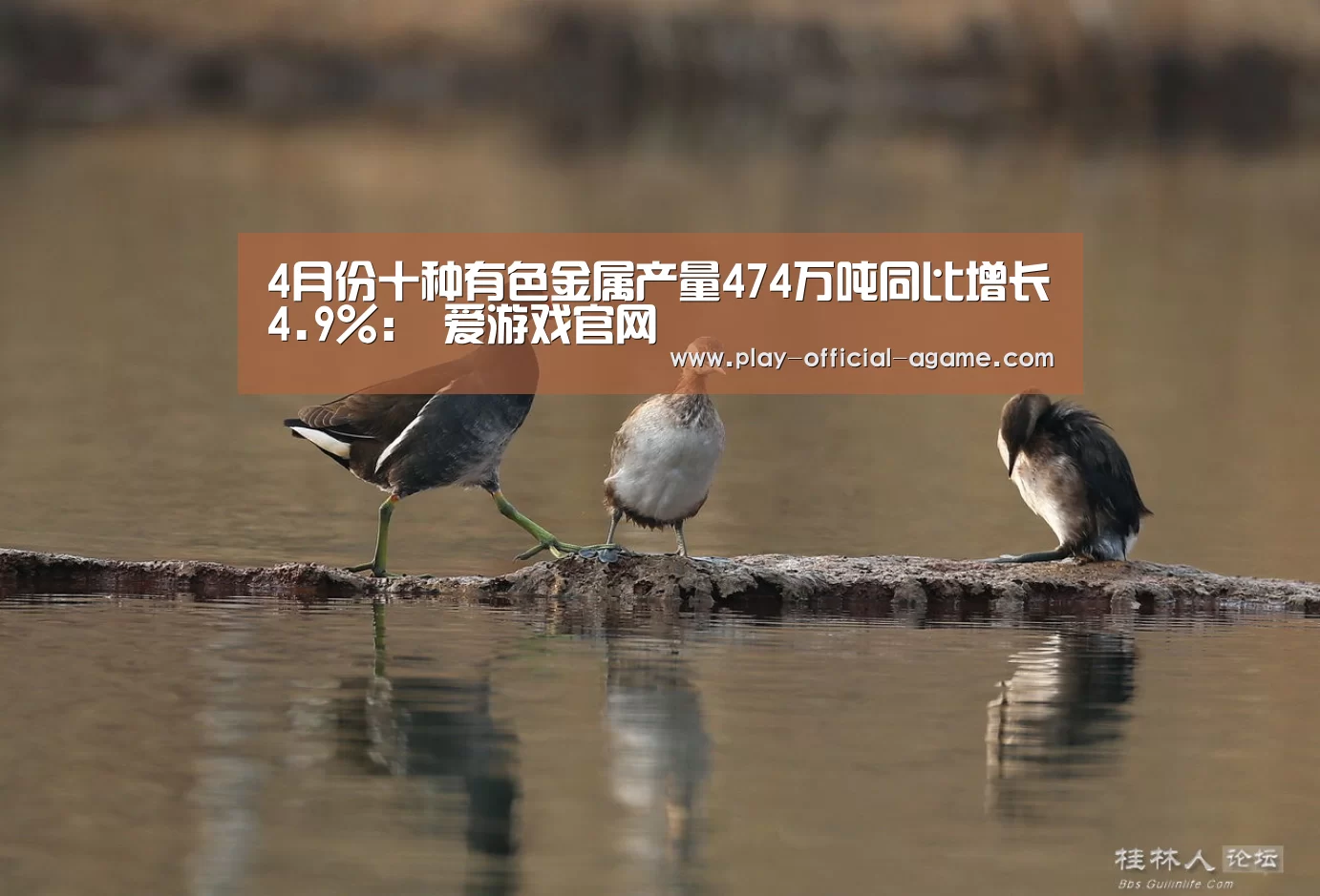 4月份十种有色金属产量474万吨同比增长4.9%: 爱游戏官网(图3) 爱游戏体育App下载