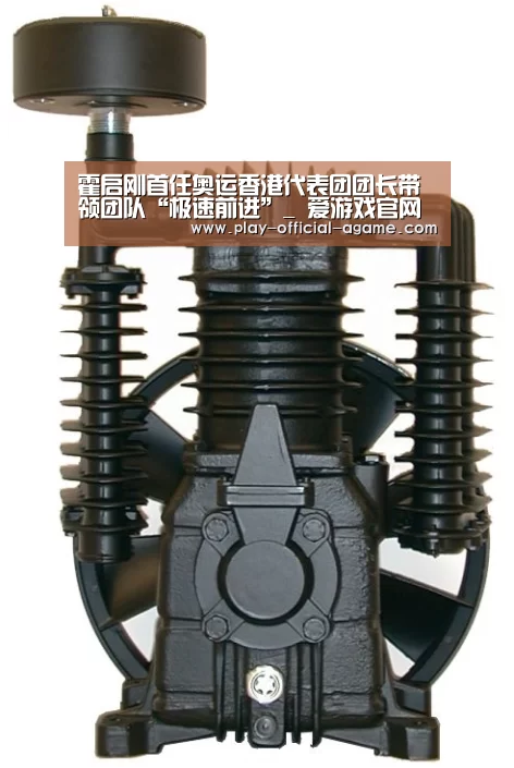 霍启刚首任奥运香港代表团团长带领团队“极速前进”_ 爱游戏官网(图2) 爱游戏体育