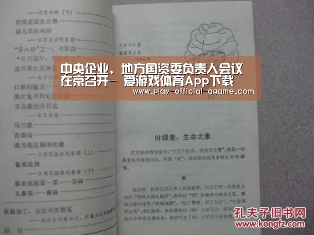 中央企业、地方国资委负责人会议在京召开- 爱游戏体育App下载(图2) 爱游戏官网