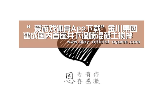 爱游戏体育App下载