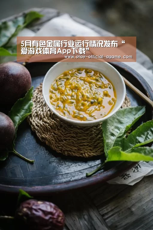  爱游戏体育App下载